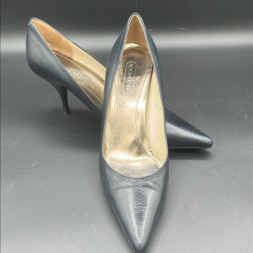 Coach Navy Blue “Amy” Pumps